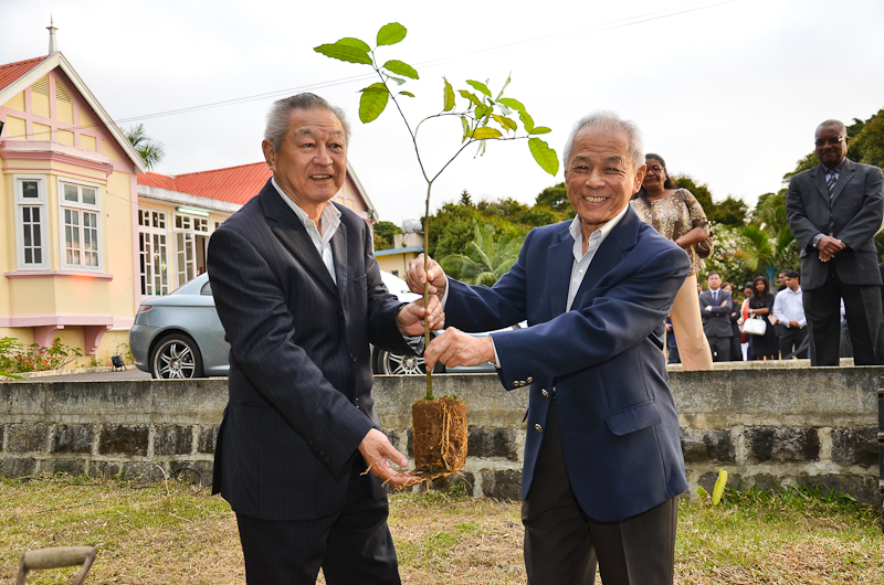Environment and Sustainability
